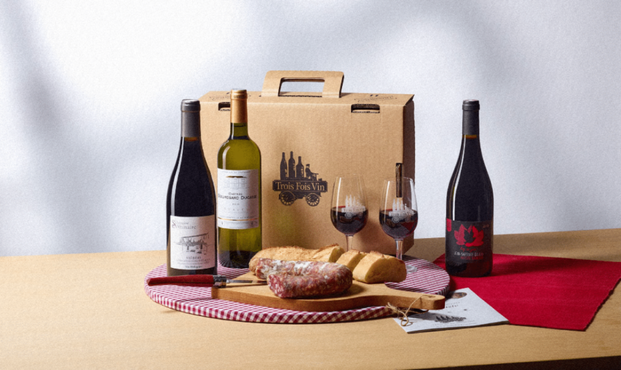 Guide ultime pour choisir le bon verre à vin et sublimer votre dégustation